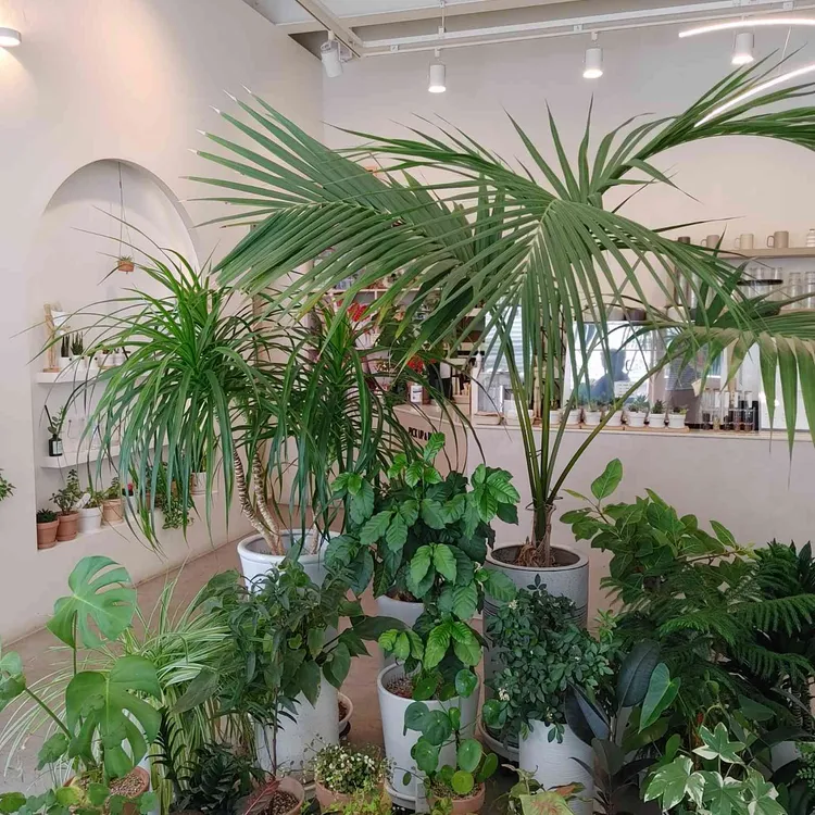 플라워카페 테리 대표 사진