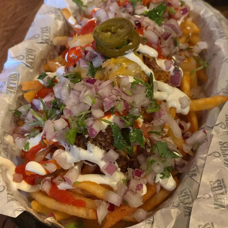 바토스 사진