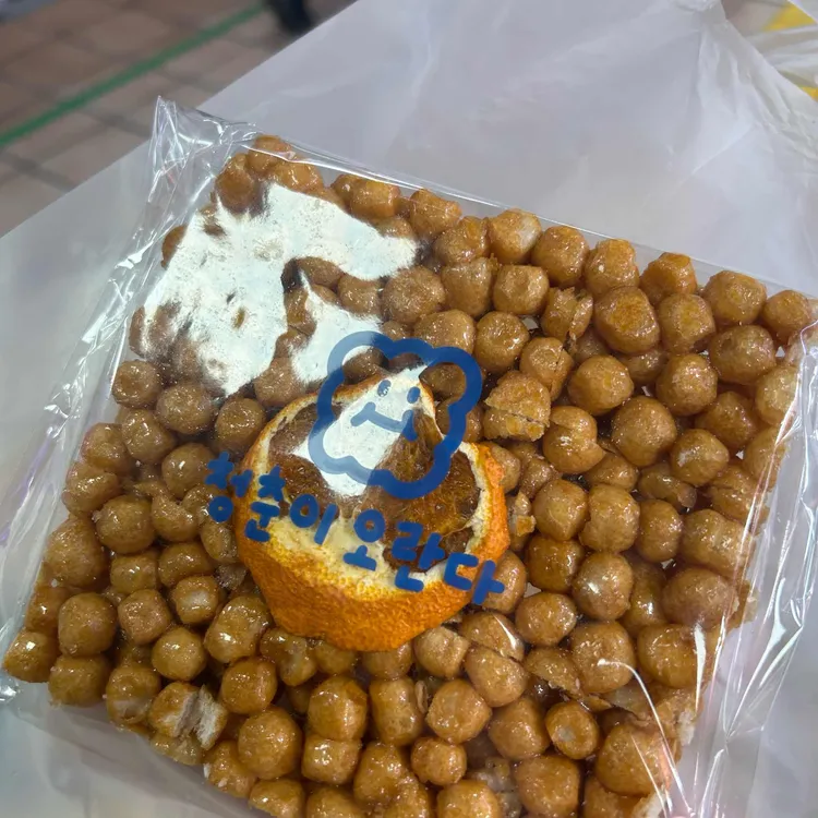 청춘이오란다 대표 사진