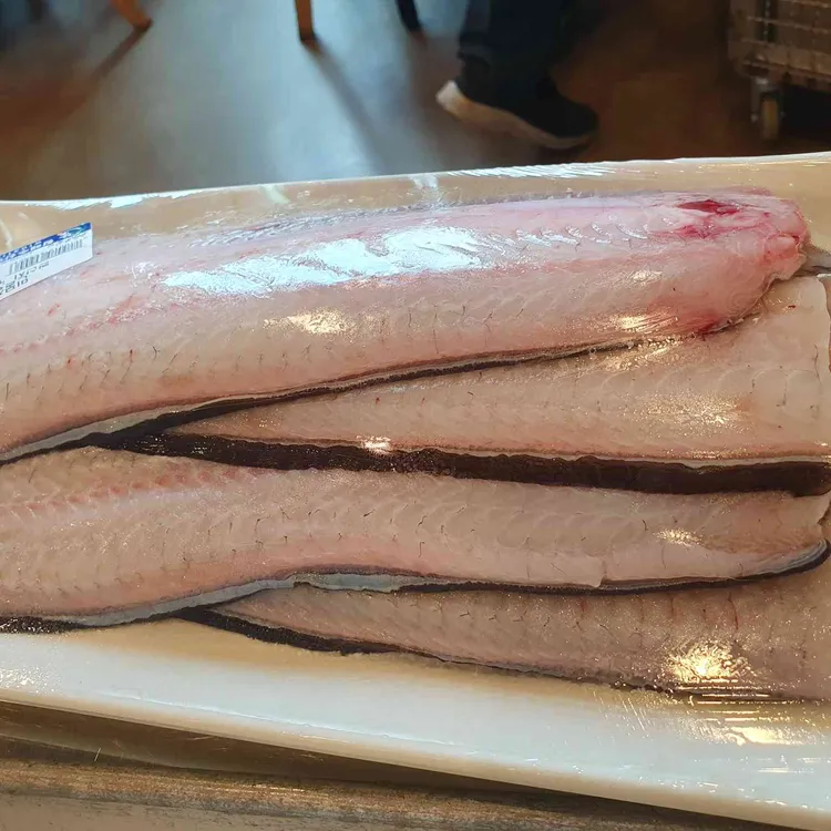 장어의꿈 사진