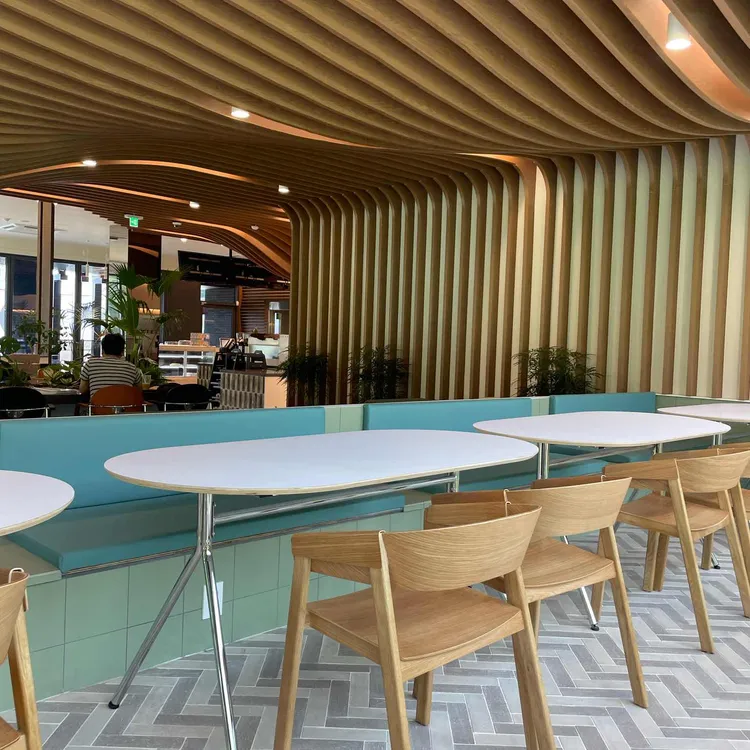 애채 대표 사진