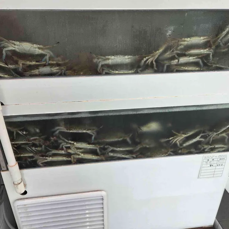 씽씽씨푸드 대표 사진