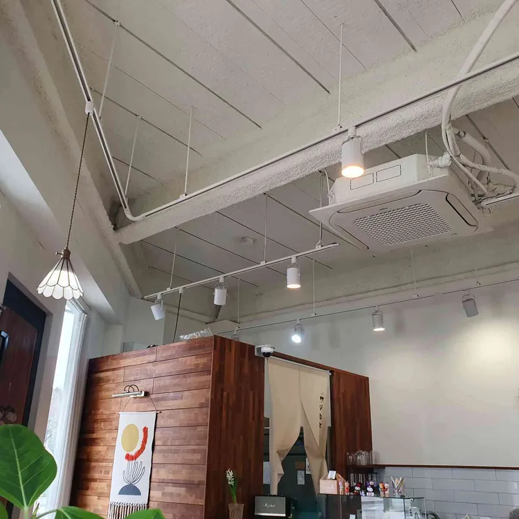 지카세 대표 사진