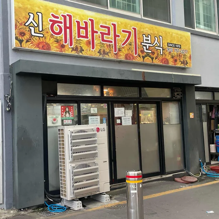 신해바라기 사진