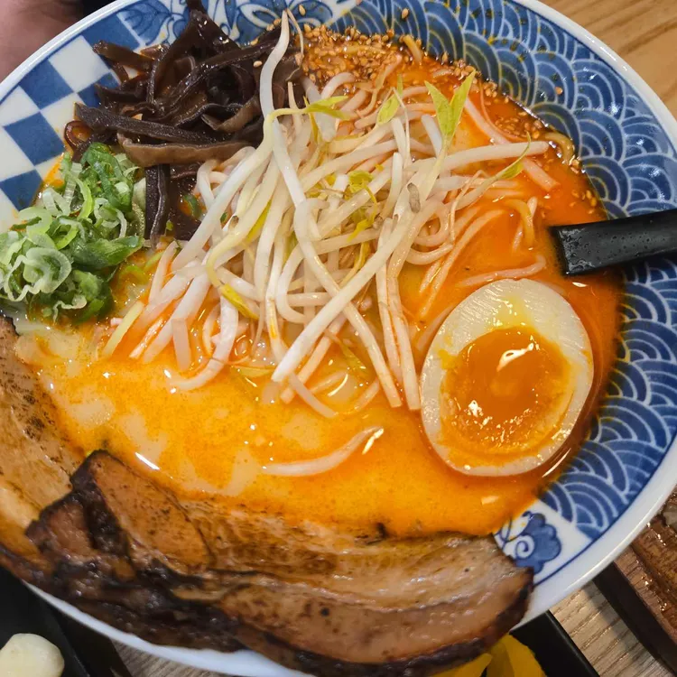 코하루 사진