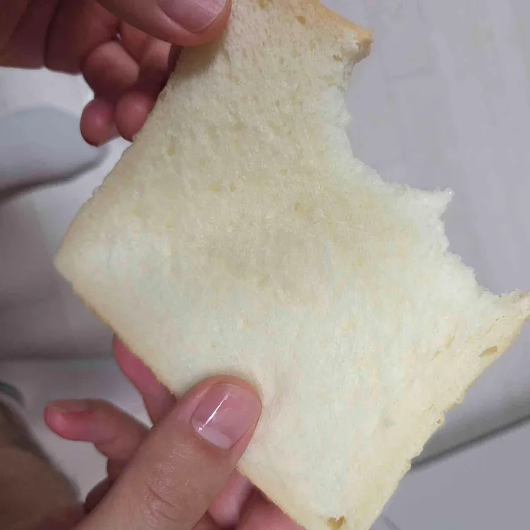 화이트리에 대표 사진