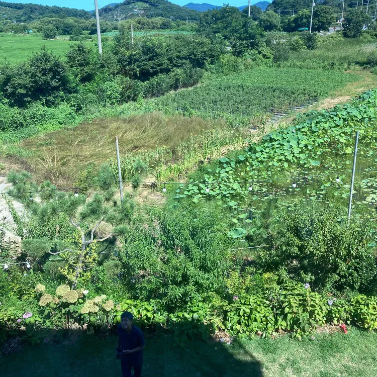 카페백월543 대표 사진