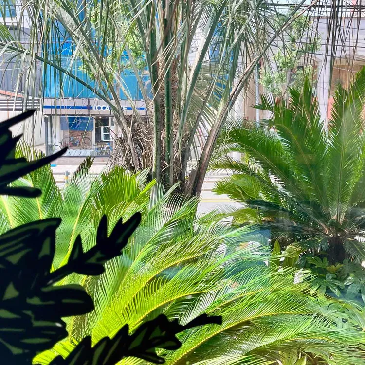 파코포코 밀스 대표 사진