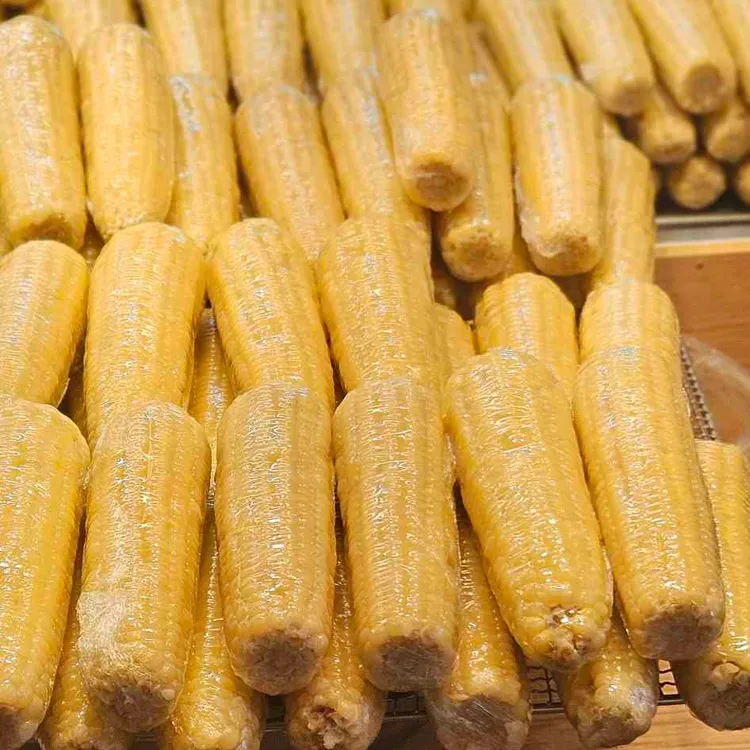 수미양가 대표 사진