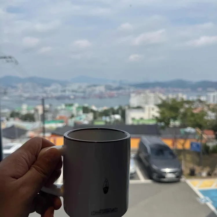 선생 조고매 사진