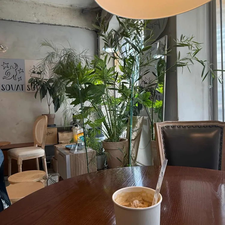 소밧 대표 사진