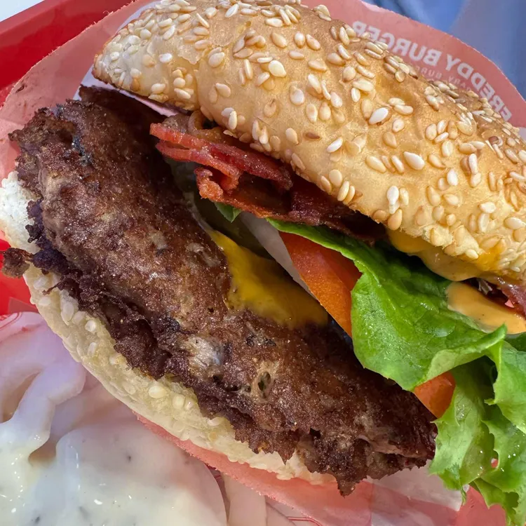 프레디버거 사진