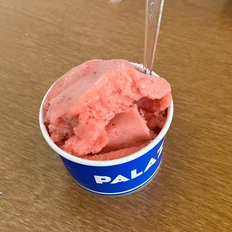 필무드 사진