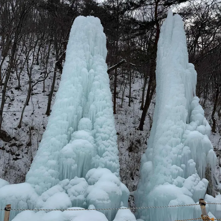 천장리 알프스마을 대표 사진