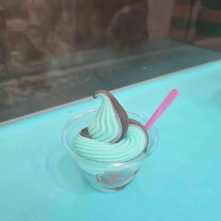 오민초 대표 사진