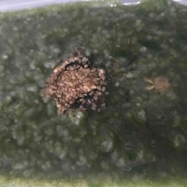 본죽 대표 사진