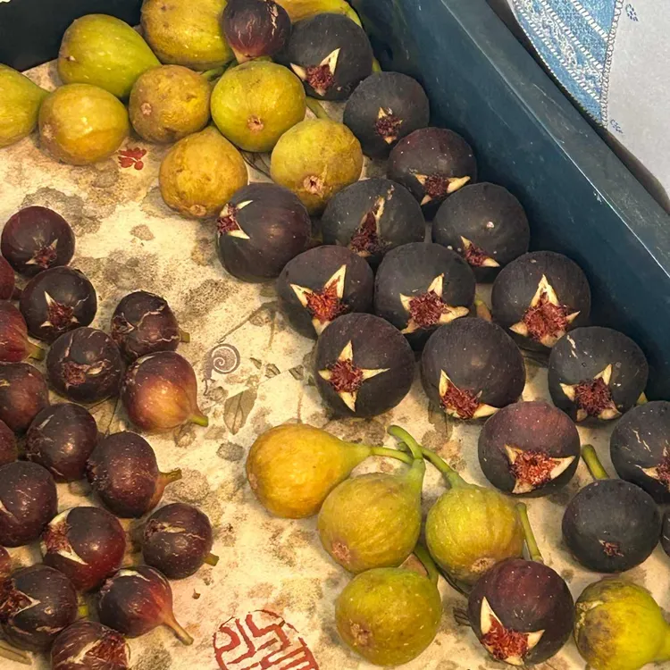 찬찬농장 대표 사진