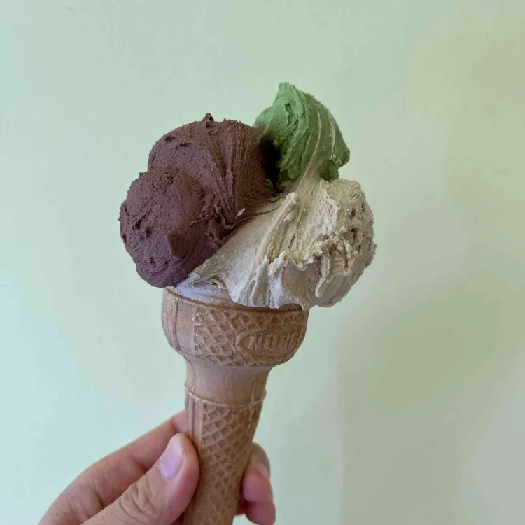 젤라꼬피아 대표 사진