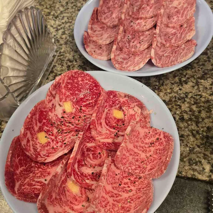 초원 사진