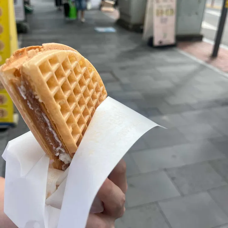 와플대학 대표 사진