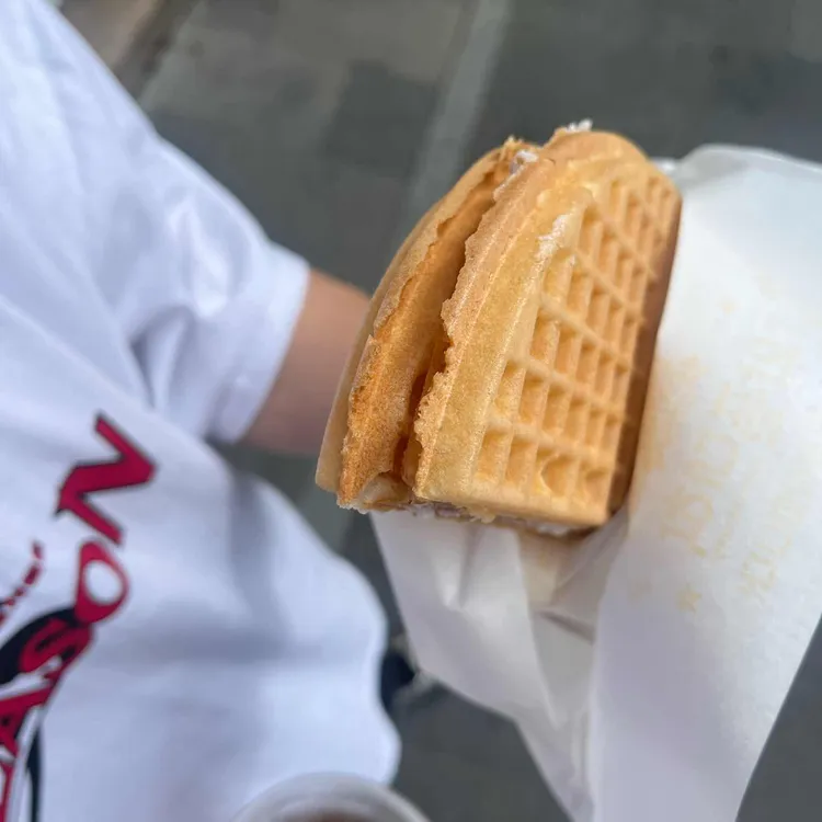 와플대학 대표 사진