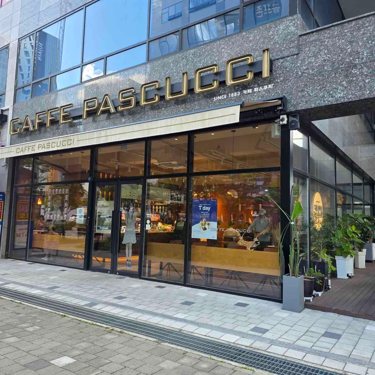 파스쿠찌 대표 사진