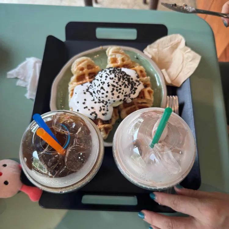 666도그플레이 대표 사진