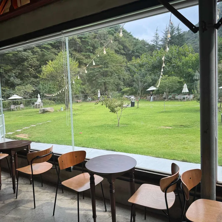 666도그플레이 대표 사진