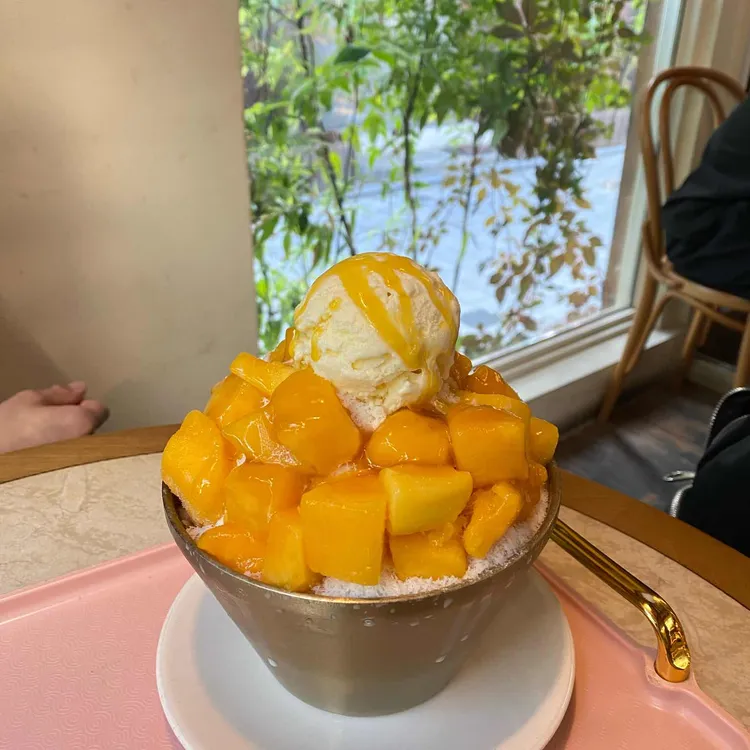 카페 수달 사진