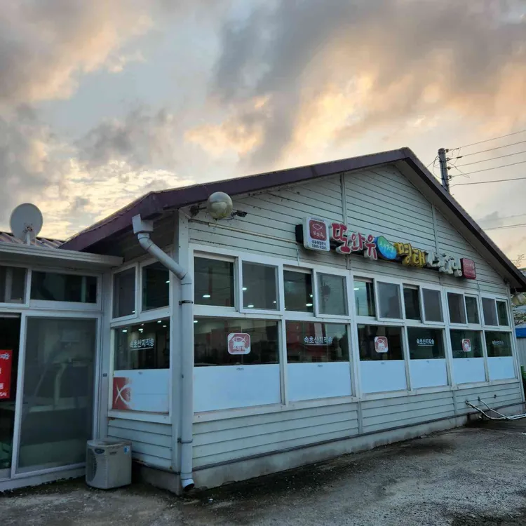 또와유 대표 사진