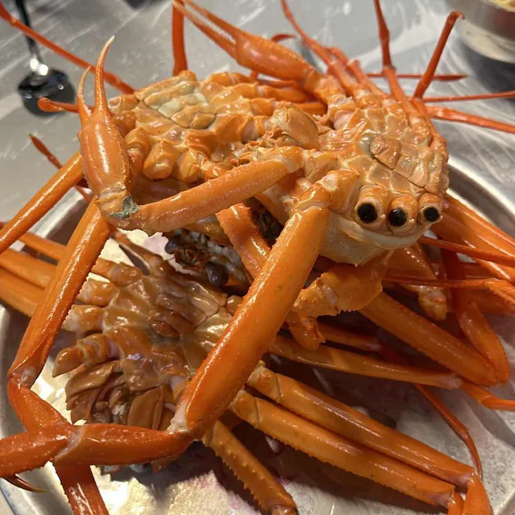 게판 오분전 대표 사진