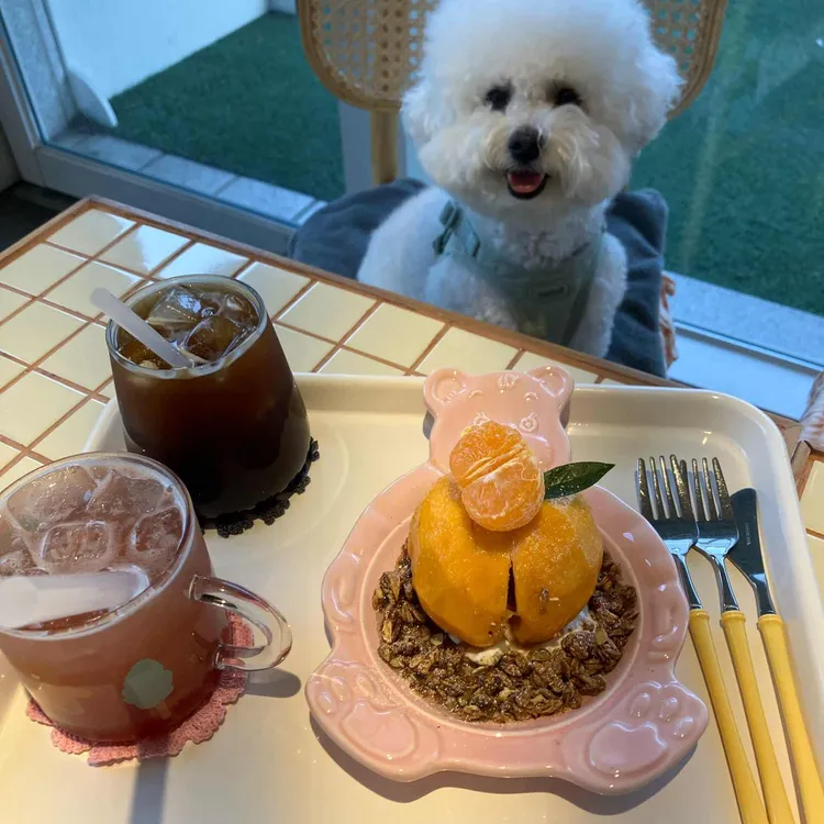 cafe pdup 대표 사진