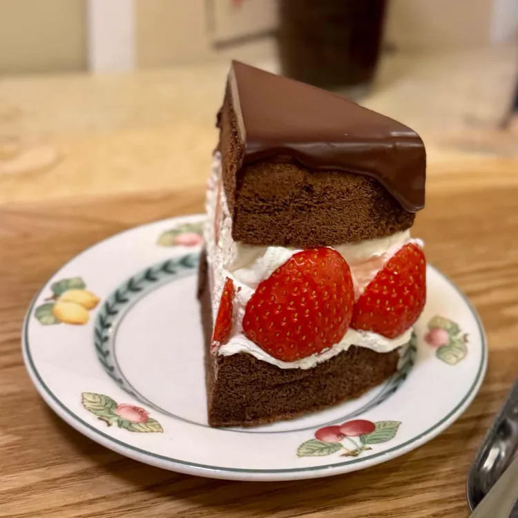 앨리스케이커리 사진