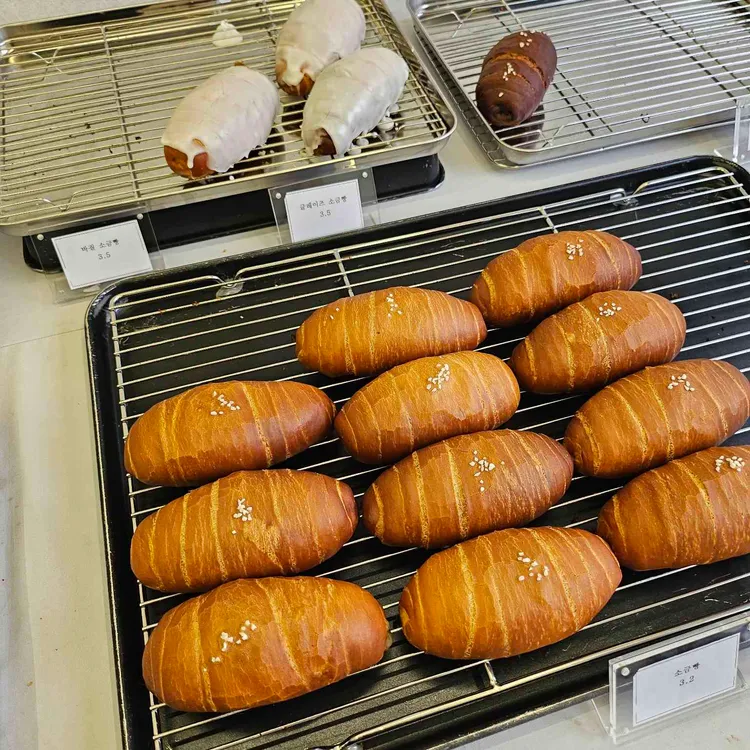 빌라누스 대표 사진