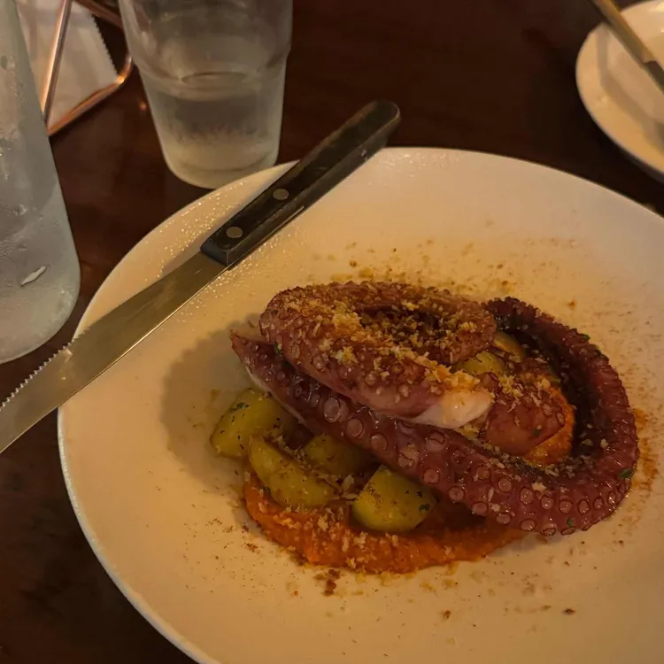 안초 대표 사진