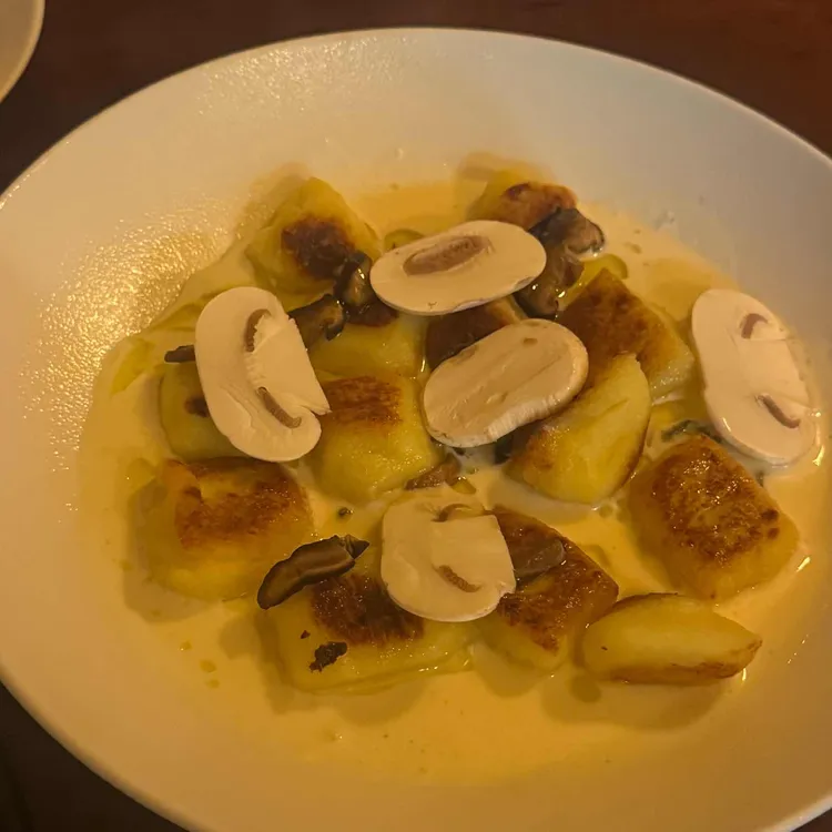 안초 대표 사진