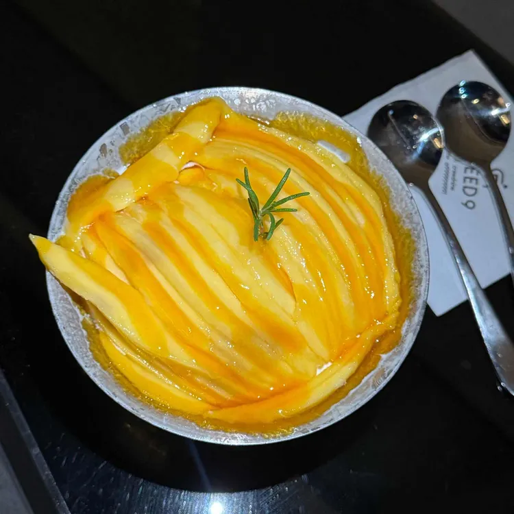 크리드나인 사진