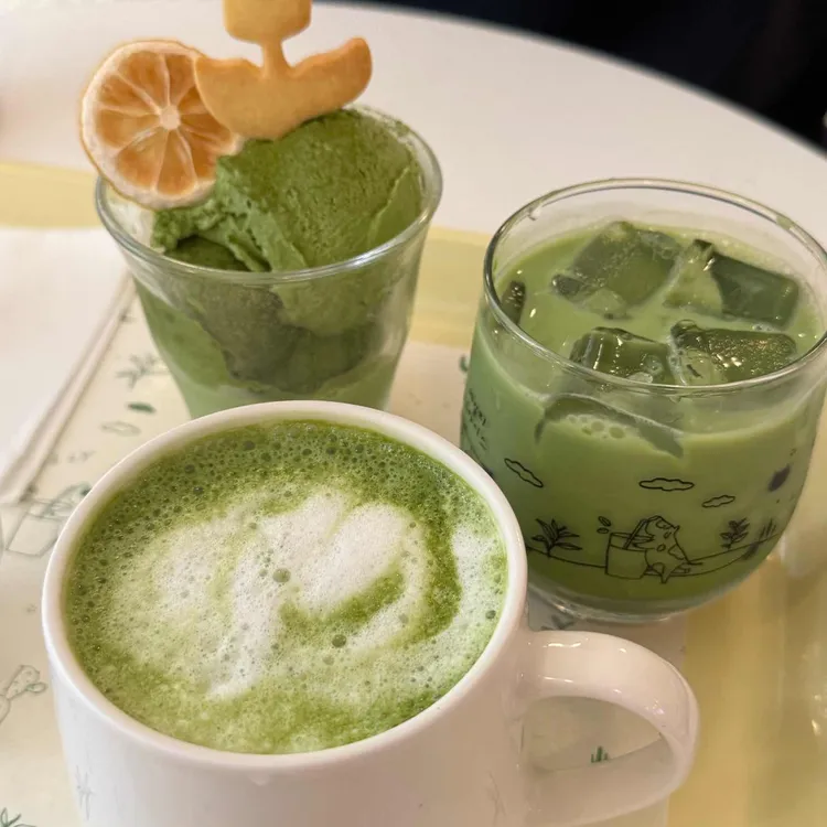 데일리오아시스 사진