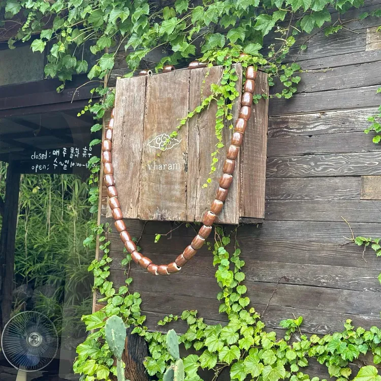 바람 대표 사진