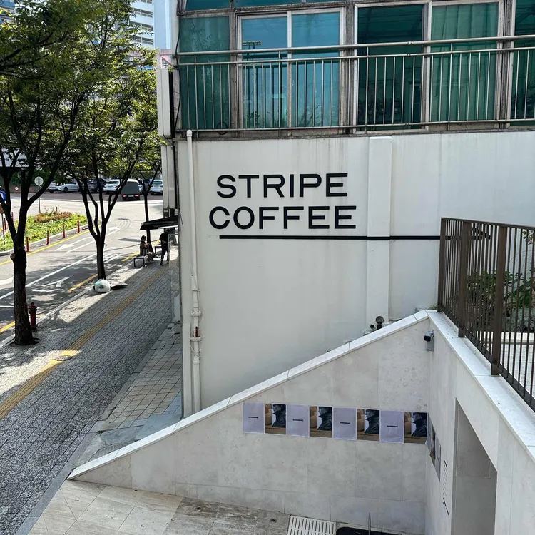스트라이프커피 대표 사진
