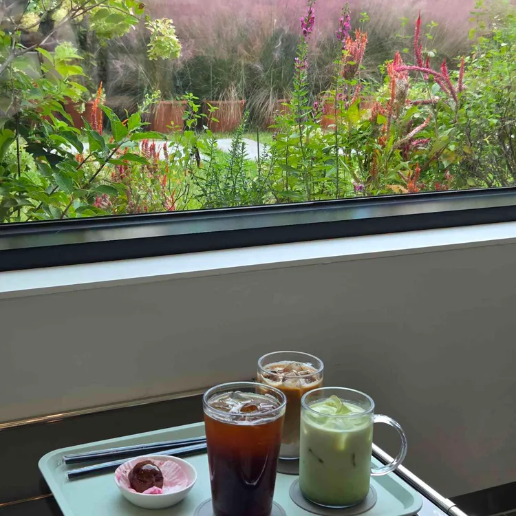 문그로우 대표 사진