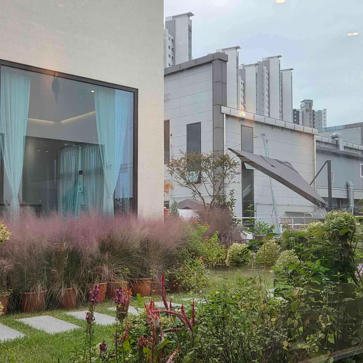 문그로우 대표 사진