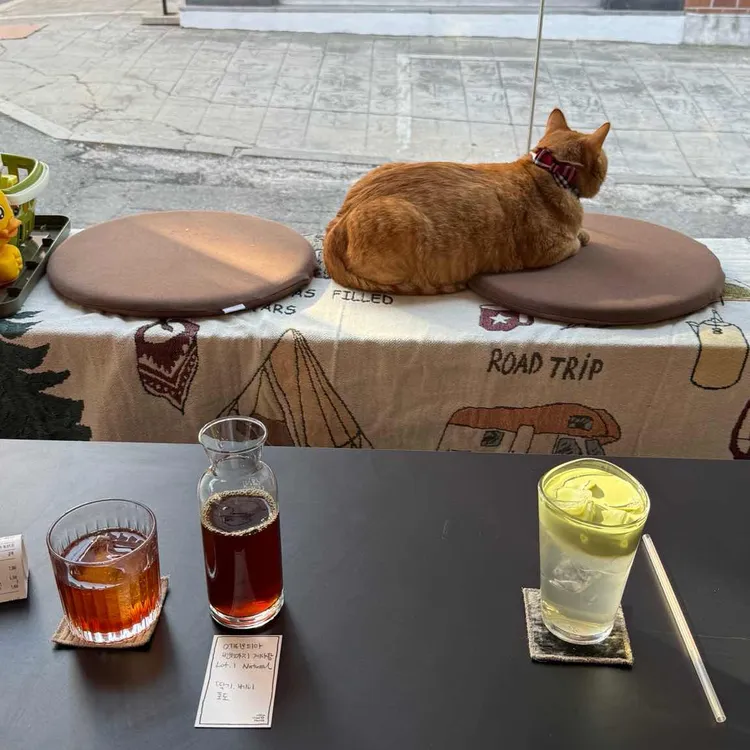 오드커피숍 대표 사진