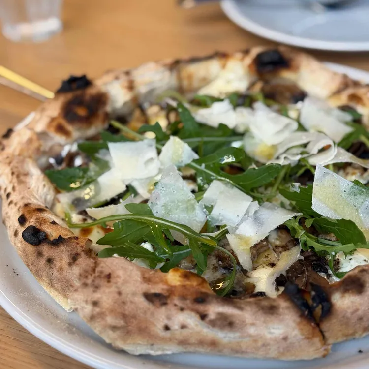 도우큐먼트 사진