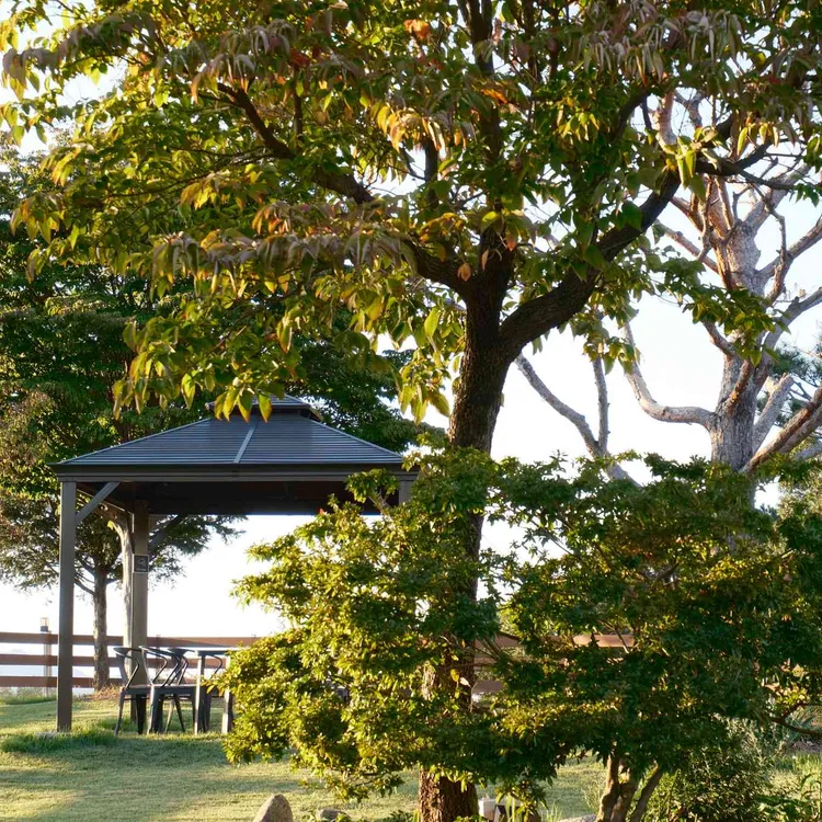 1957정원카페 대표 사진