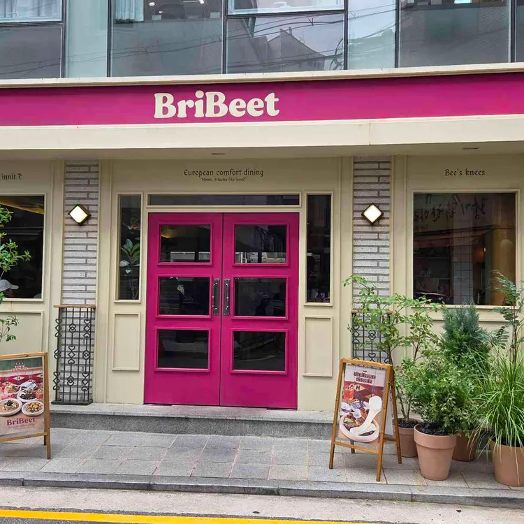 브리비트 사진