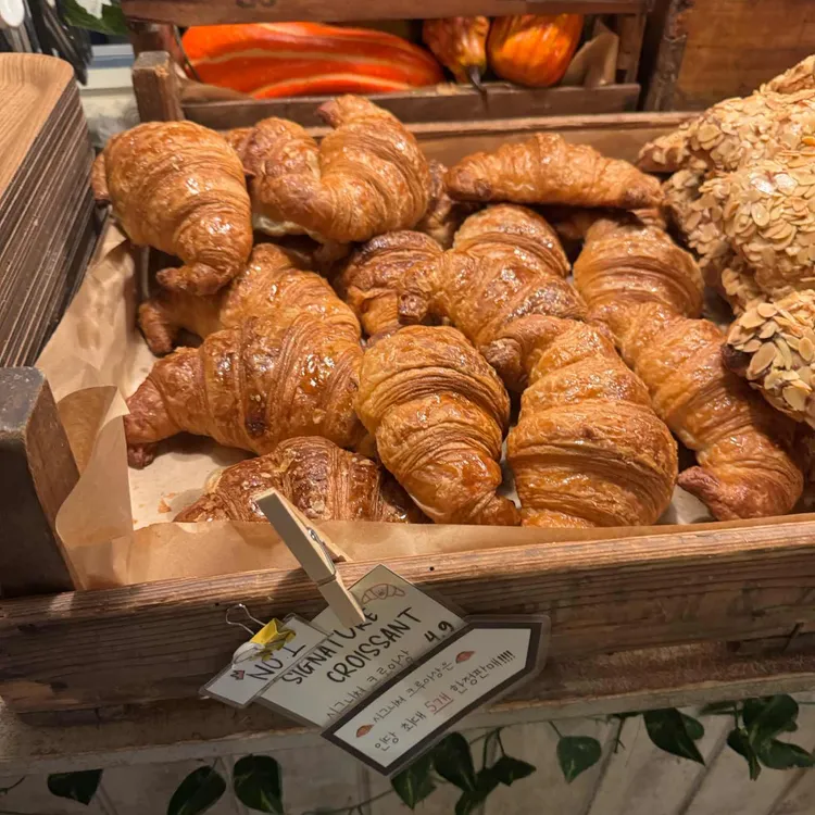 테디뵈르하우스 사진