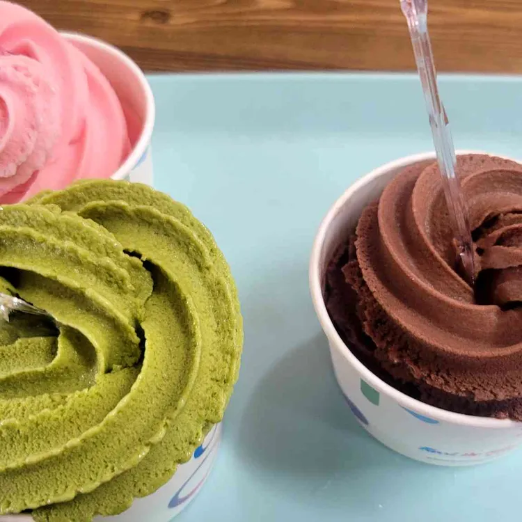 가배정인 대표 사진