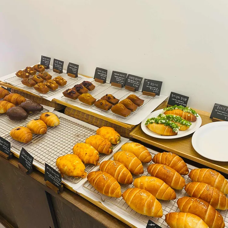 고요미 대표 사진