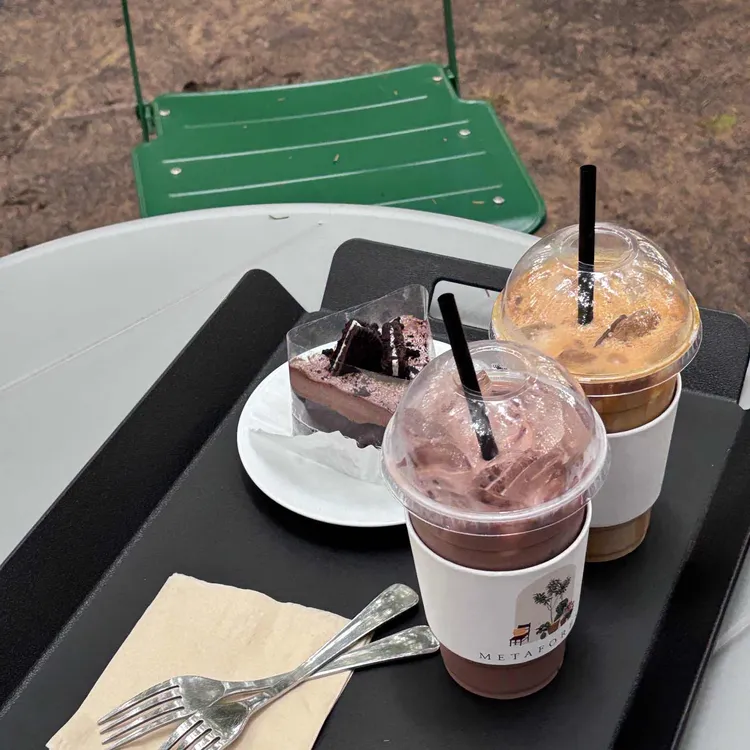 메타포레스트 사진